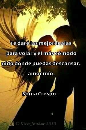 sonia_crespo (@soniacr03556235) on Twitter photo 