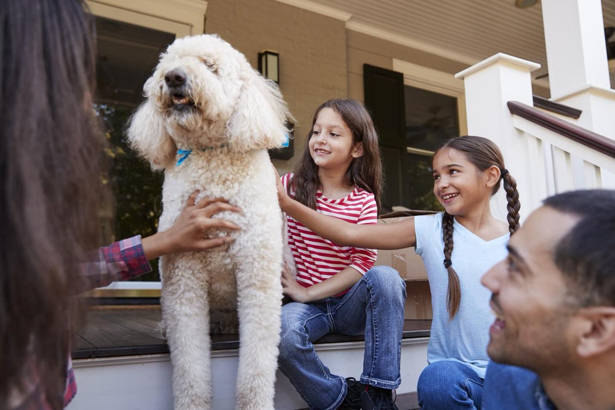With some careful research and the right considerations, your child can have a pet and remain sneeze-free. Here's everything you need to know about choosing pets for children with allergies plus several pet options you and your child can get excited about. bit.ly/2MvuGei