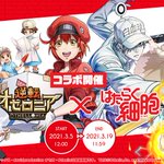 夢 の かけら オセロニア