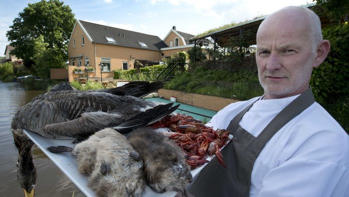 Even in the part of Flanders where I'm coming from, muskrat was a regional dish. Also known as "water rabbit".