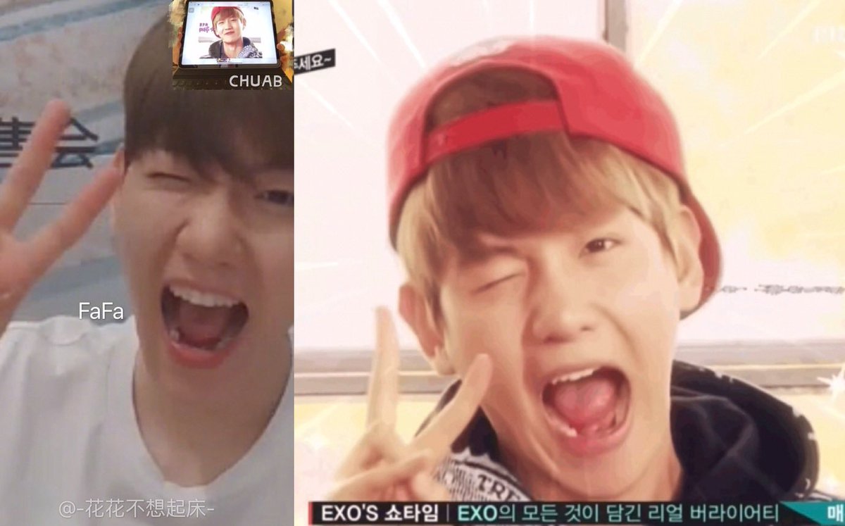 1400hyun_2's tweet photo. 진짜 백현아 졸라기엽다ㅋㅋㅋㅋㅋㅋㅋㅋㅋ ㅜㅜㅜㅜㅜㅜㅜ https://t.co/JPU98uhuTm