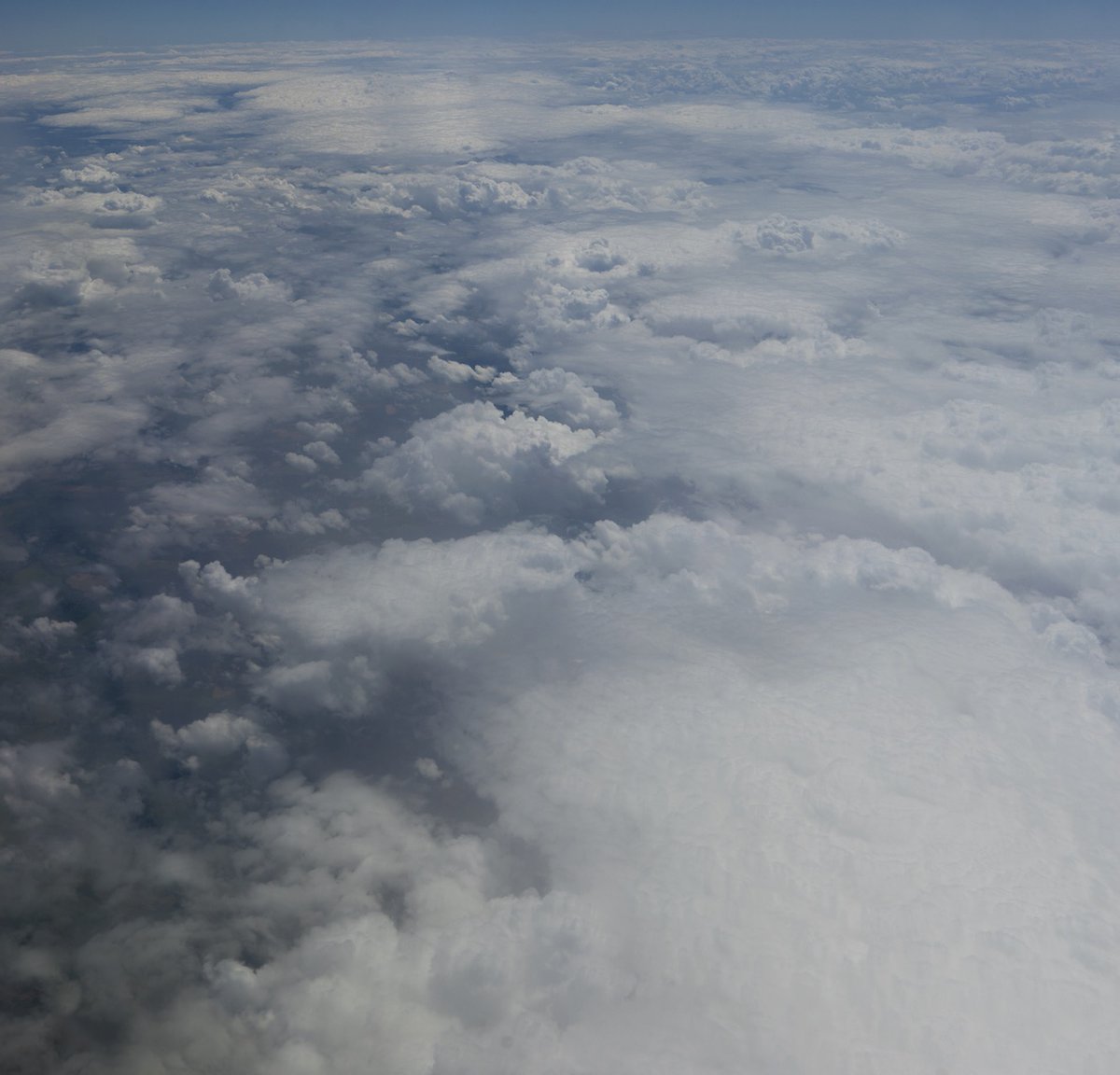 CG GEEKS@CGニュースサイト tweet media