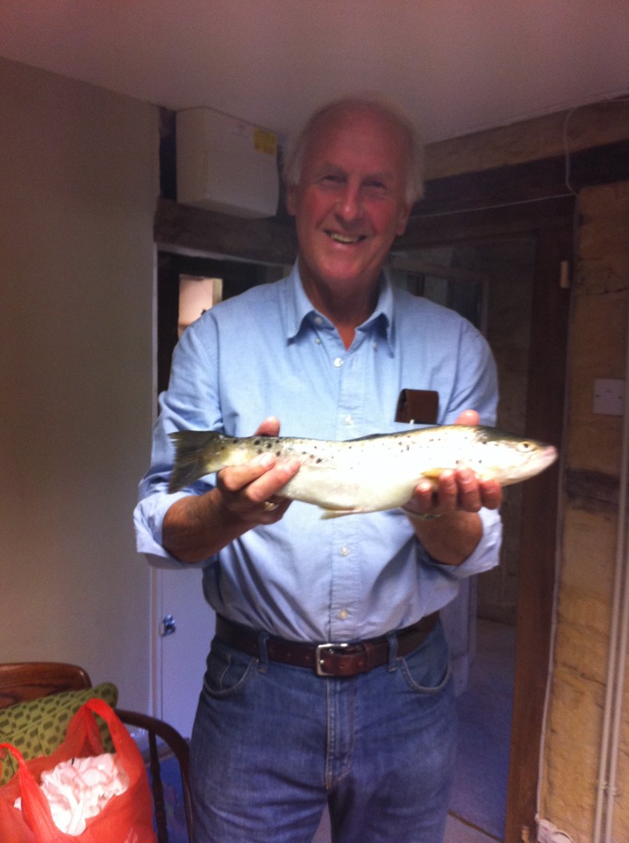 Brian Sinfield Gallery tweet media