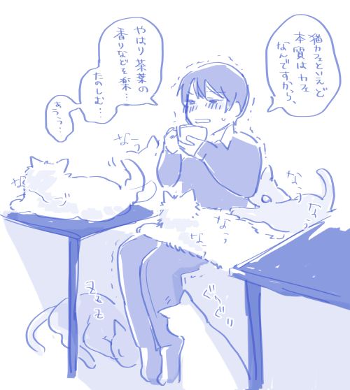 これは猫に負けるジュン 