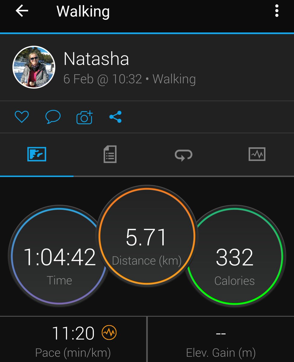natashafallows's tweet photo. @RCS_sport morning dog walk for #teamparents https://t.co/stWooR40Ia