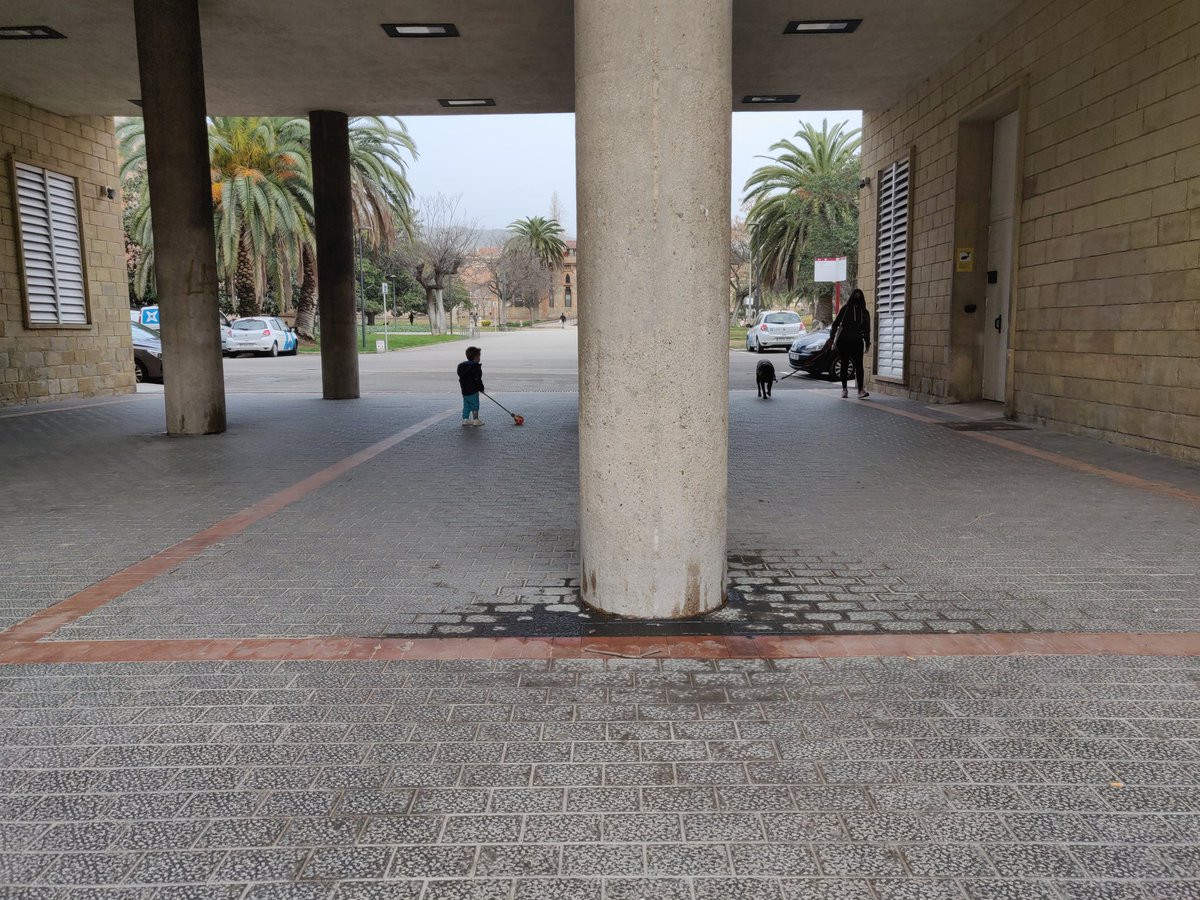 Una imagen lamentable y triste del parque de la Maternitat en Barcelona... Quizas se deberia cambiar el nombre a Parque Pipican 😒 <a href="/AdaColau/">Ada Colau 💜🌈🔻</a> #barcelona #maternitat