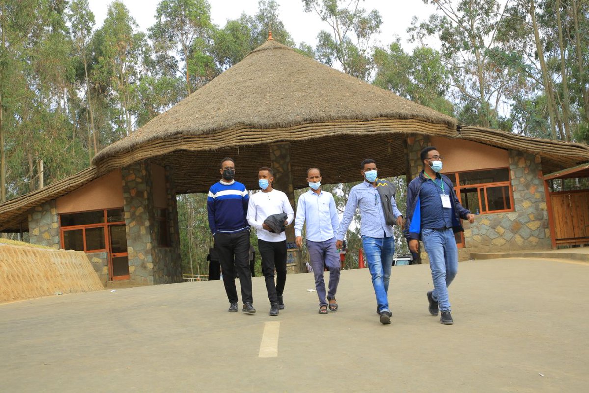 Sawir socod lagu galey.