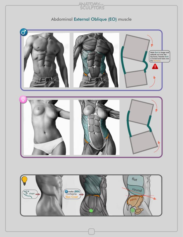 CG GEEKS@CGニュースサイト tweet media
