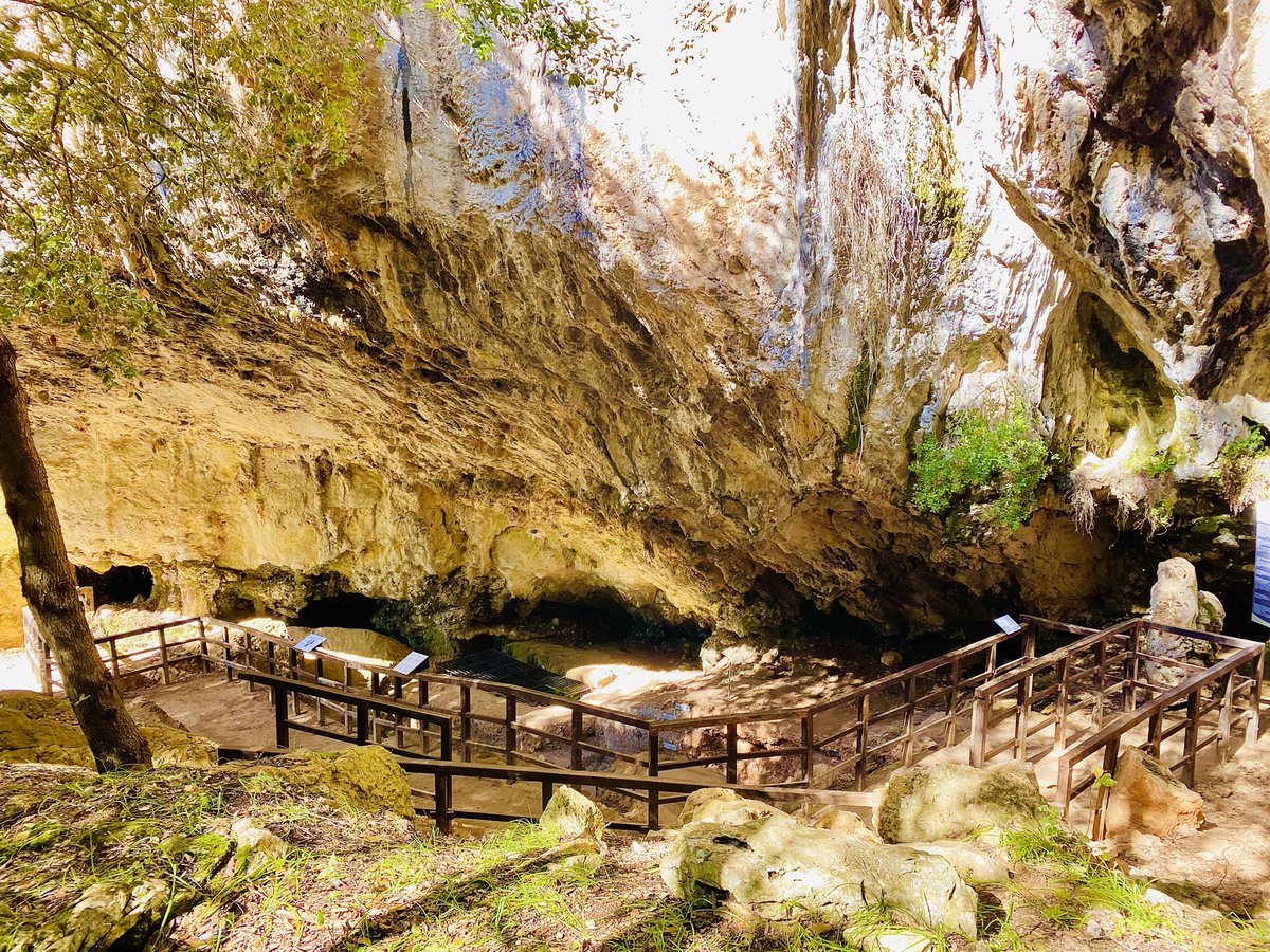 GuideOnCosenza's tweet photo. 𝐶𝑎𝑟𝑖 𝐴𝑚𝑖𝑐𝑖,
Oggi ho deciso di farvi conoscere 𝗣𝗮𝗽𝗮𝘀𝗶𝗱𝗲𝗿𝗼, un piccolo comune del Parco del Pollino, che presenta delle 𝘂𝗻𝗶𝗰𝗶𝘁𝗮̀ come la 𝗚𝗿𝗼𝘁𝘁𝗮 𝗱𝗲𝗹 𝗥𝗼𝗺𝗶𝘁𝗼. https://t.co/IXp10ysiJx