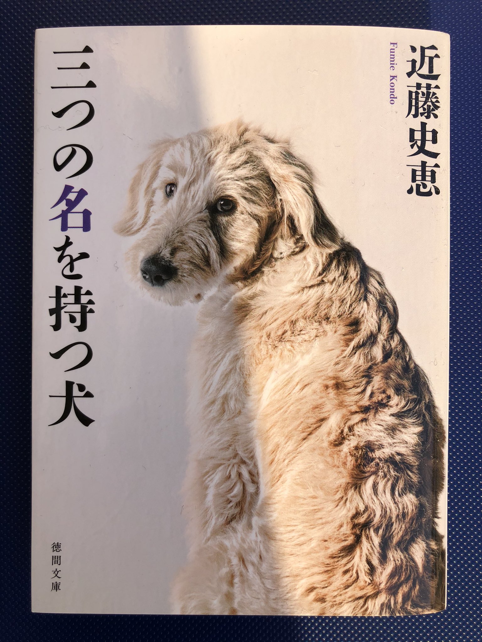 集英社文庫 No Twitter 近藤史恵 三つの名を持つ犬 愛犬との暮らしを綴ったブログが人気となり 自分の居場所を見つけた都 その生活を守るためにとんでもないことをしてしまう 人間のエゴ 犬の姿をした希望 人生の再生 ラストの一筋の光に涙すること必至