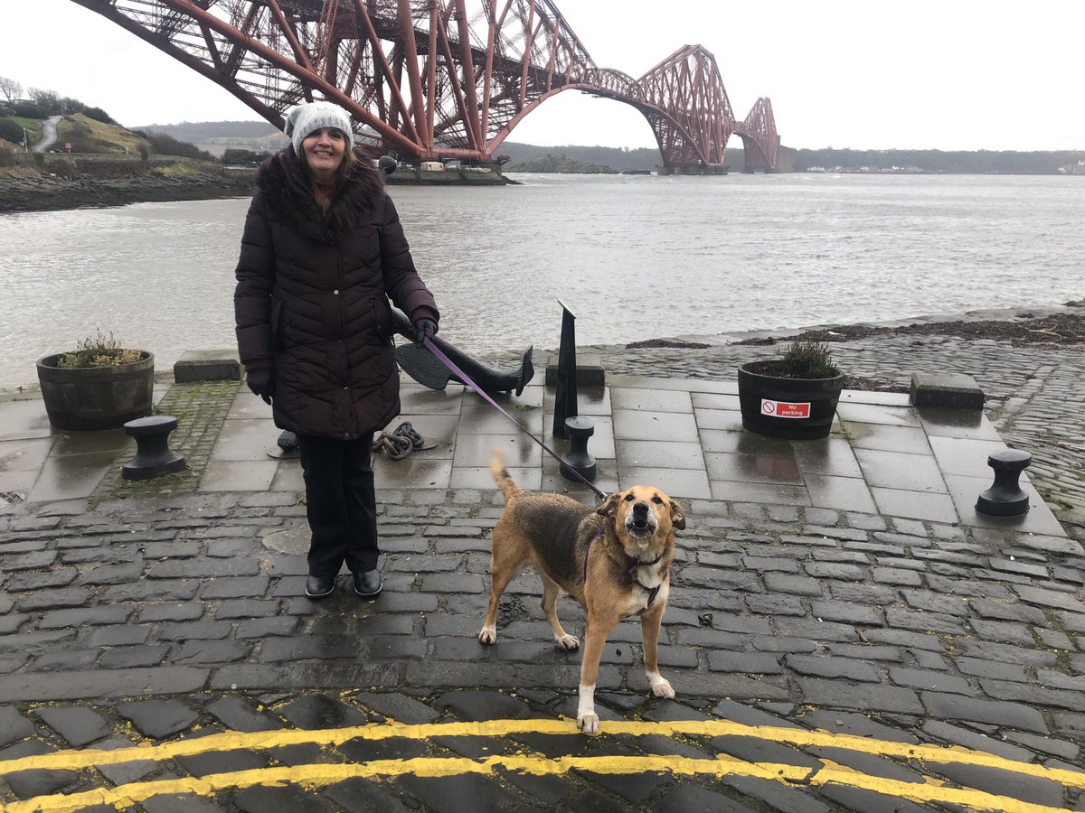 Cara not loving the wind today #NorthQueensferry 🏴󠁧󠁢󠁳󠁣󠁴󠁿🥶