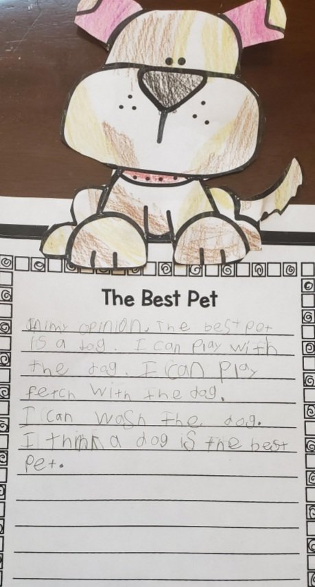 I love teaching opinion writing! We had some real pets join breakout rooms as the Ss shared their reasons why the animal they picked would make the best pet.
Mentor Text: The Perfect Pet
#ashlandsoar #virtualclasses #funinfirst #firstgraderocks