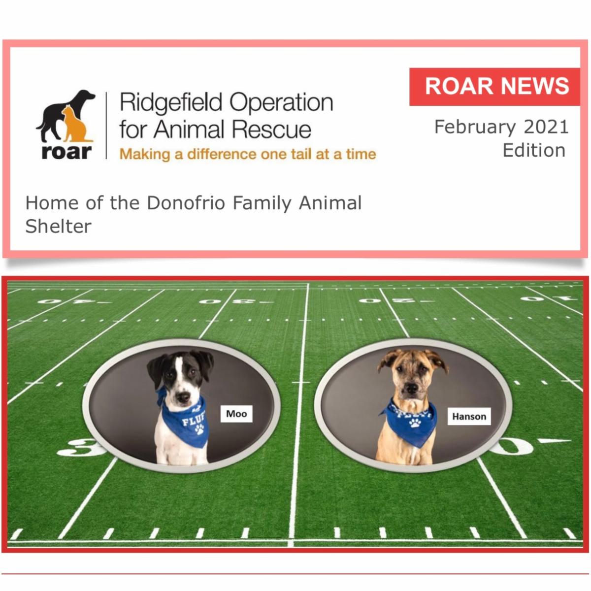 Our Feb 2021 Newsletter is Here! Puppy Bowl, Pet Profiles, Recent Adoptions, and more.... conta.cc/3tzWkbs