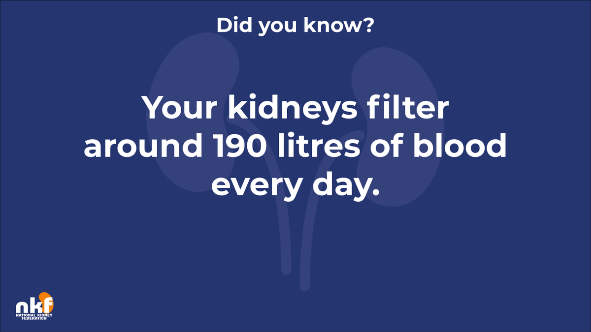 NKF_UK's tweet photo. Did you know that your kidneys filter around 190 litres of blood every day? https://t.co/5uekU7C7Cl