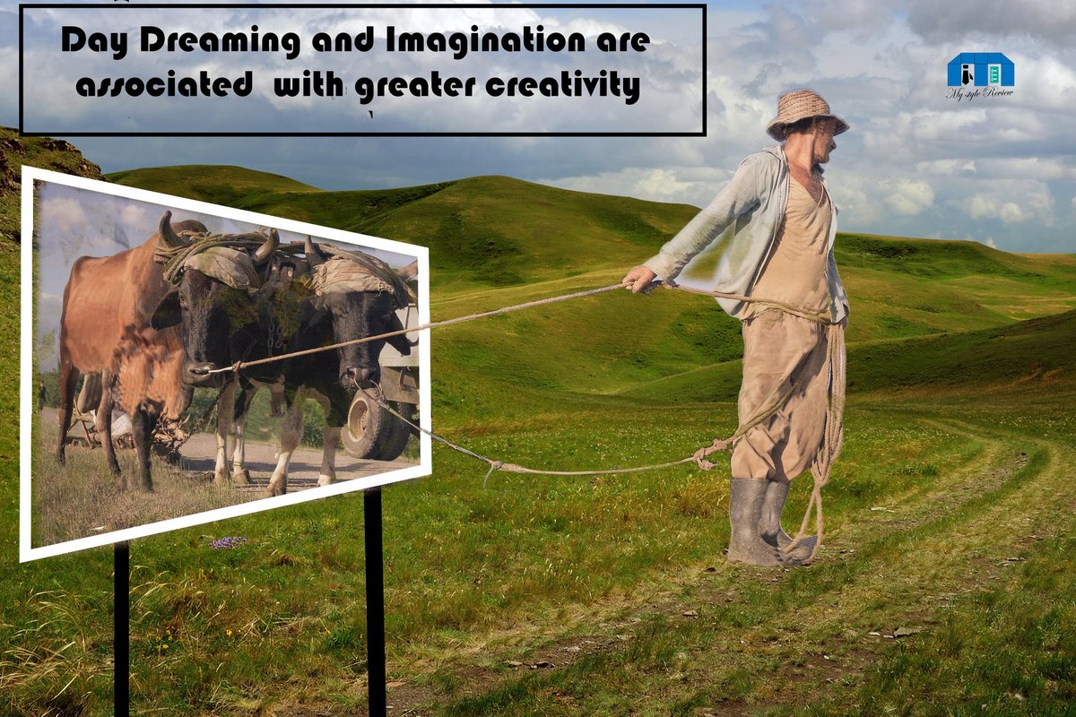 MyStyleReview1's tweet image. My Style Review | Daydreaming  and Imagination are associated with greater creativity.