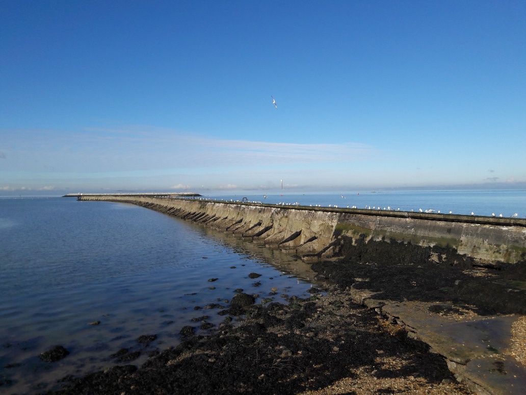 Seagulls enjoying the beautiful day resting on the breakwater at East Cowes sea front <a href="/EastCowesBiz/">ECBA</a> #IsleofWight   Only 3 miles from <a href="/Briddlesford/">Briddlesford Farm</a>