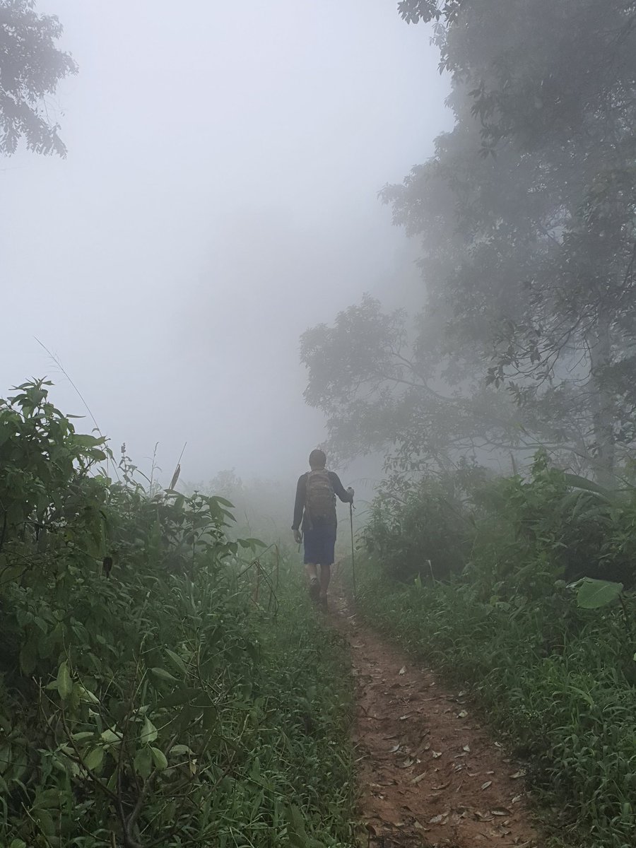 Olga di tengah kabut