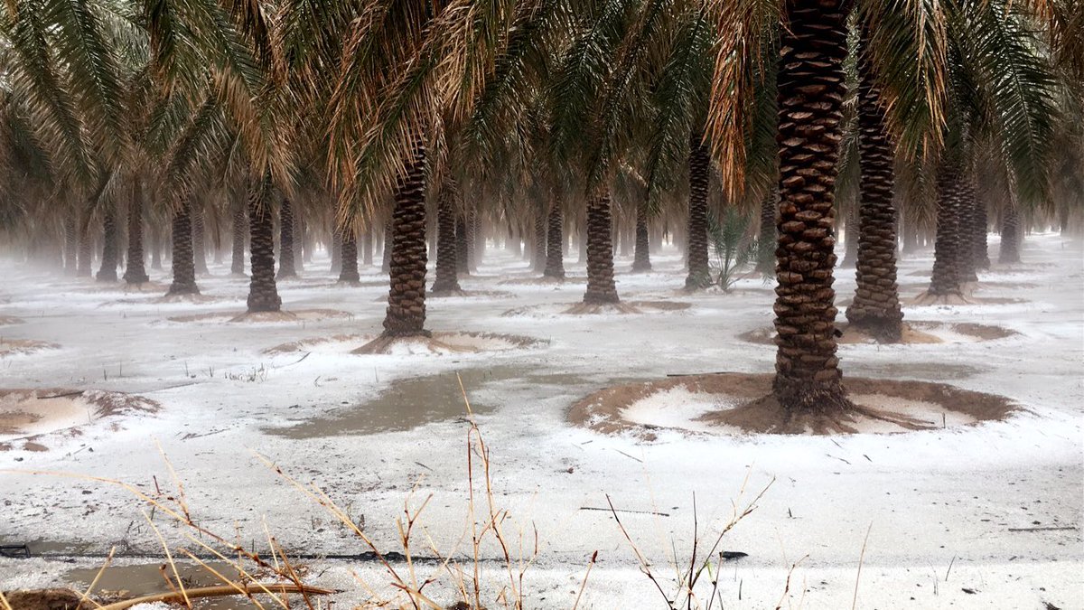 غرب #بريده تحديداً البصر