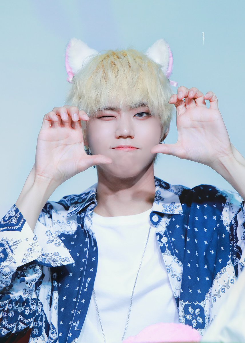 951219com's tweet photo. 190818
#ENOi #LAON #이엔오아이
#라온 #신규현 #라온효과 https://t.co/2CCMZKHIKM