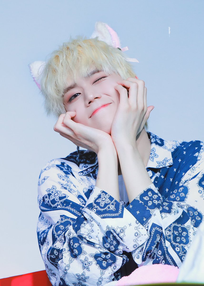 190818
#ENOi #LAON #이엔오아이
#라온 #신규현 #라온효과