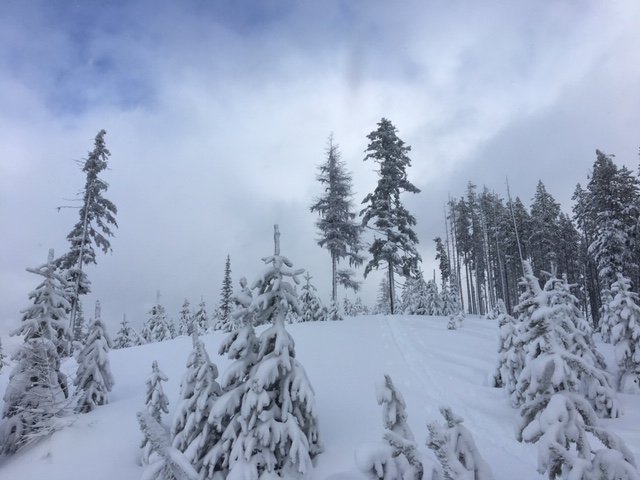 Discover Your Northwest Lolo Pass Visitors Center (@discoverlolo) on Twitter photo 