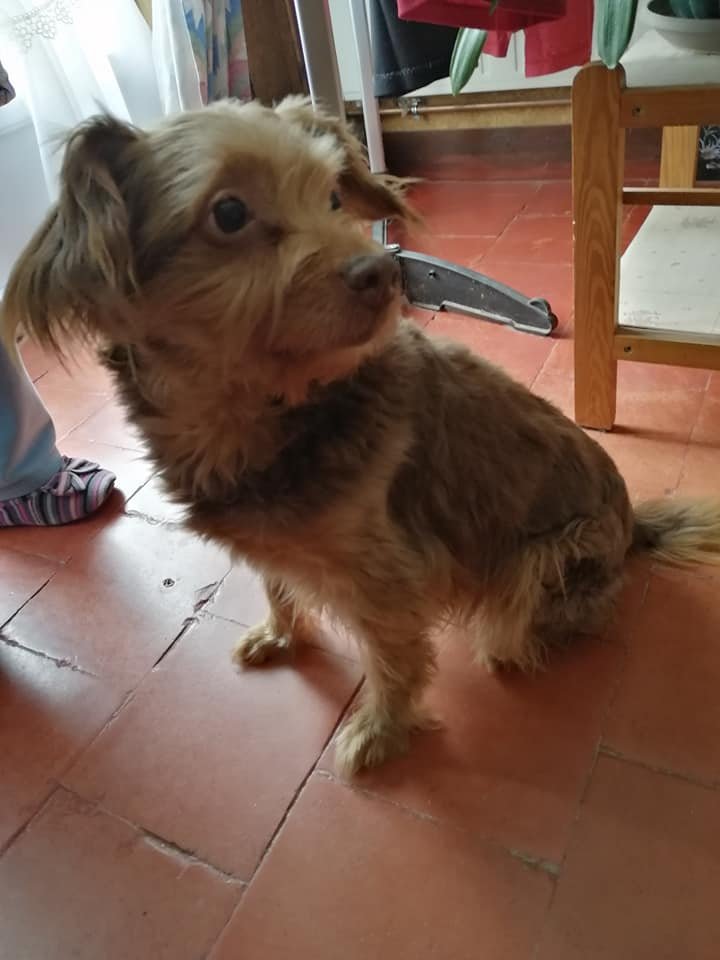 justine44 tweet media