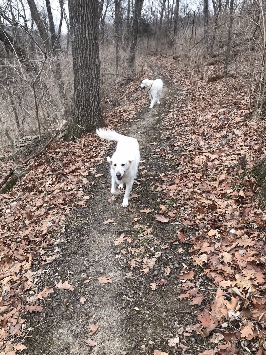 DaleFil29's tweet photo. Good hike this morning before the snow comes on the trails @LakeQuiviraWOW https://t.co/VOq6Dp9fmS