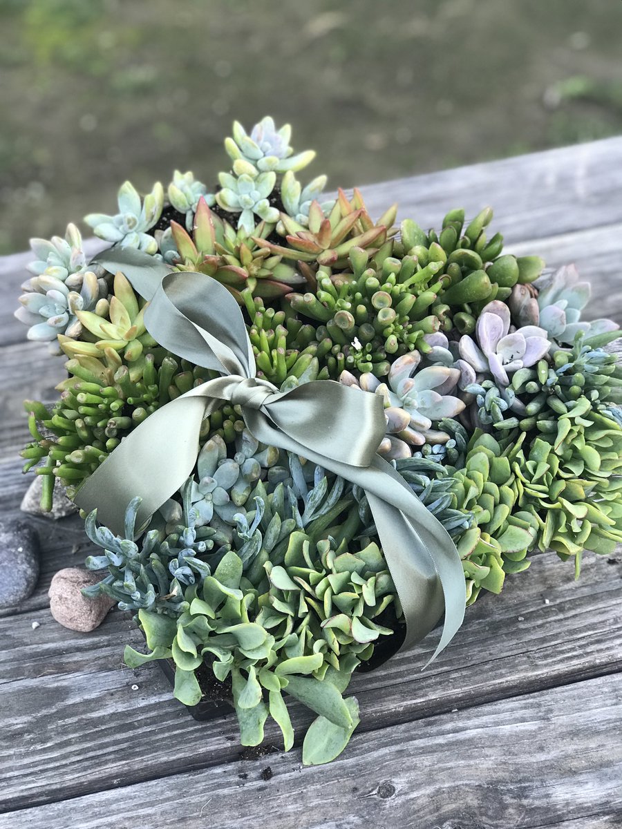 Think outside the chocolate box for Valentine’s Day! Goodness knows, the last thing I need right now is a box of chocolates, however there’s always room for a box of succulents!  Easy and inexpensive to make, I just posted instructions on my website! 

kennethwingard.com/blog/diy/succu…
