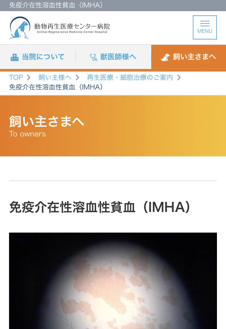 @Sho_Ta_09 初めまして
大事なワンちゃんの具合が
心配でたまりませんね🥺
よろしければ、ご参考までに。
どうか一日でも早く
良い治療を受けられますように。
体調が治っていきますように🍀 