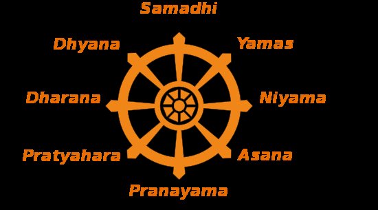 There are 8 limbs of yoga namely :- 1. Yama 2. Niyama 3. Asana 4. Pratyahara 5. Pranayam 6. Dharana 7. Dhyana 8. Samadhi.