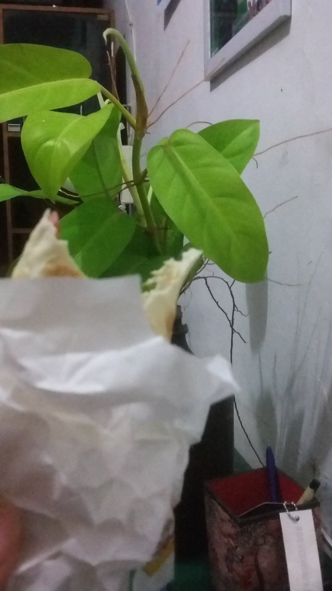 ade_f22's tweet image. Kebab. Penutup stlah pulang kerja. Makasih de riris.😊