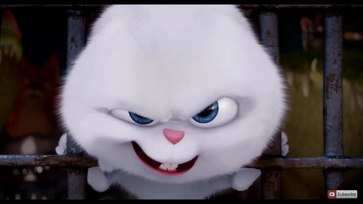 hello snowball       hello jungkookfrom 'the secret        from btslife of pets'