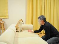 On Feb 23rd, 2010, Japanese kindergarten teacher Atsuko Sato shared photos of her dog 'Kabosu' on her blog.