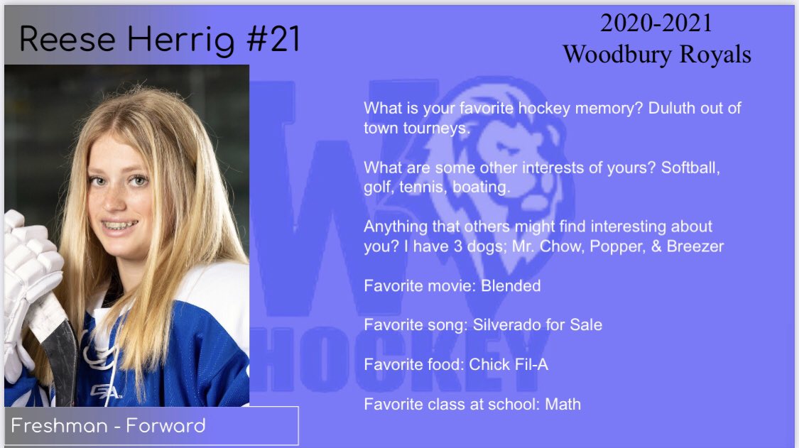 Woodbury Girls Hockey tweet media