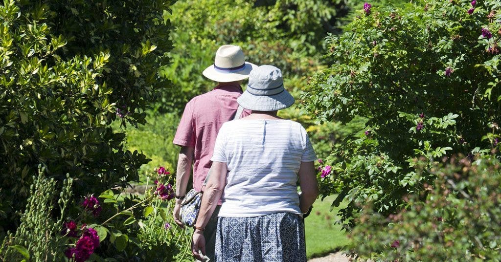 Sorcha's Healthy Living Could Vitamin C &amp; D help against Covid 19?