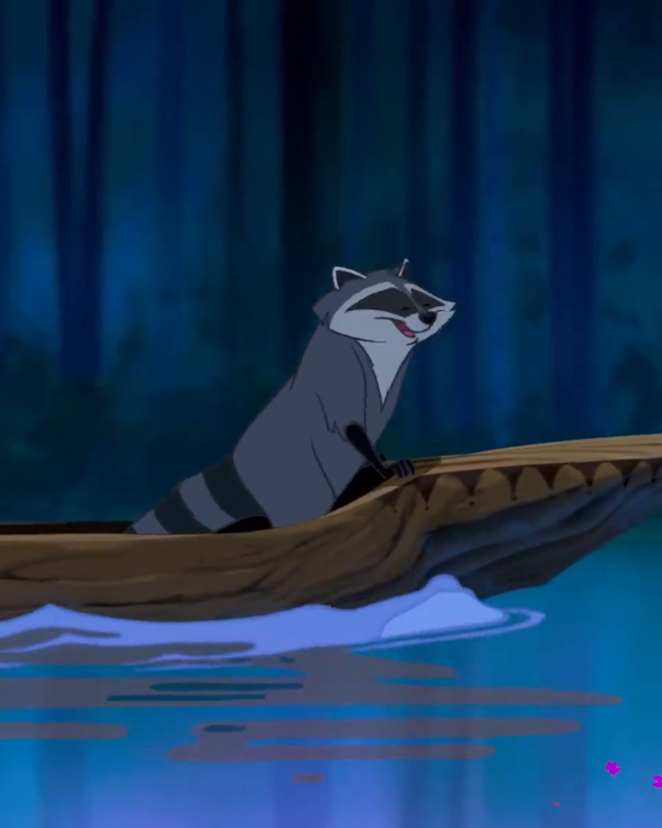 Pocahontas Hummingbird And Raccoon