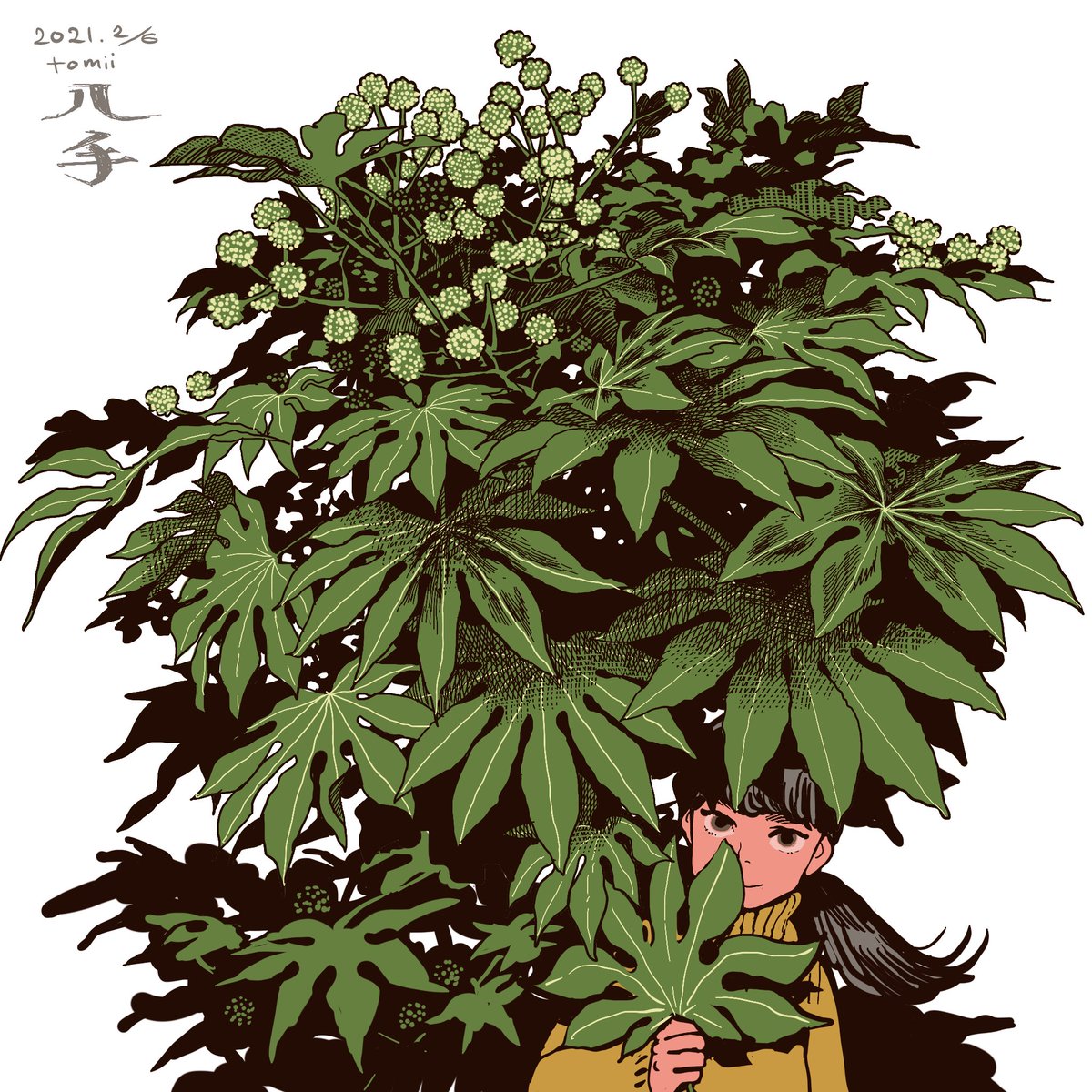 「今日大きい八手の葉っぱ拾った。 」|トミイマサコのイラスト