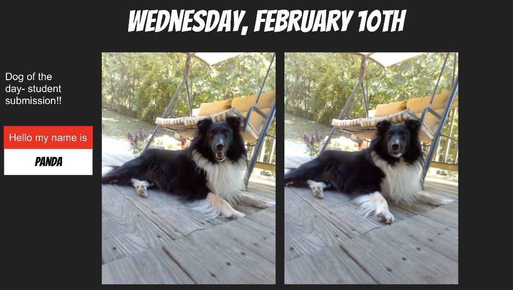 Samantha Staub tweet media