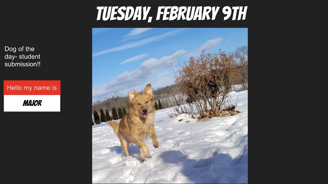 Samantha Staub tweet media