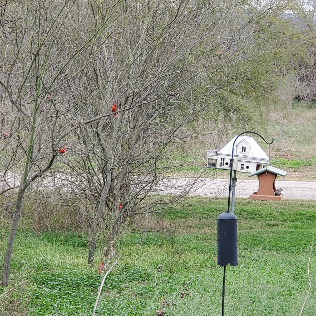 Live From The Southside Magazine | San Antonio tweet media