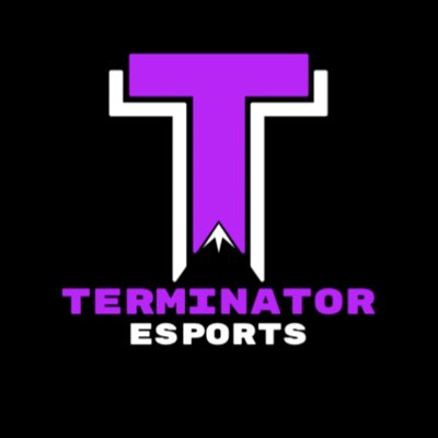 TheTerminator tweet media