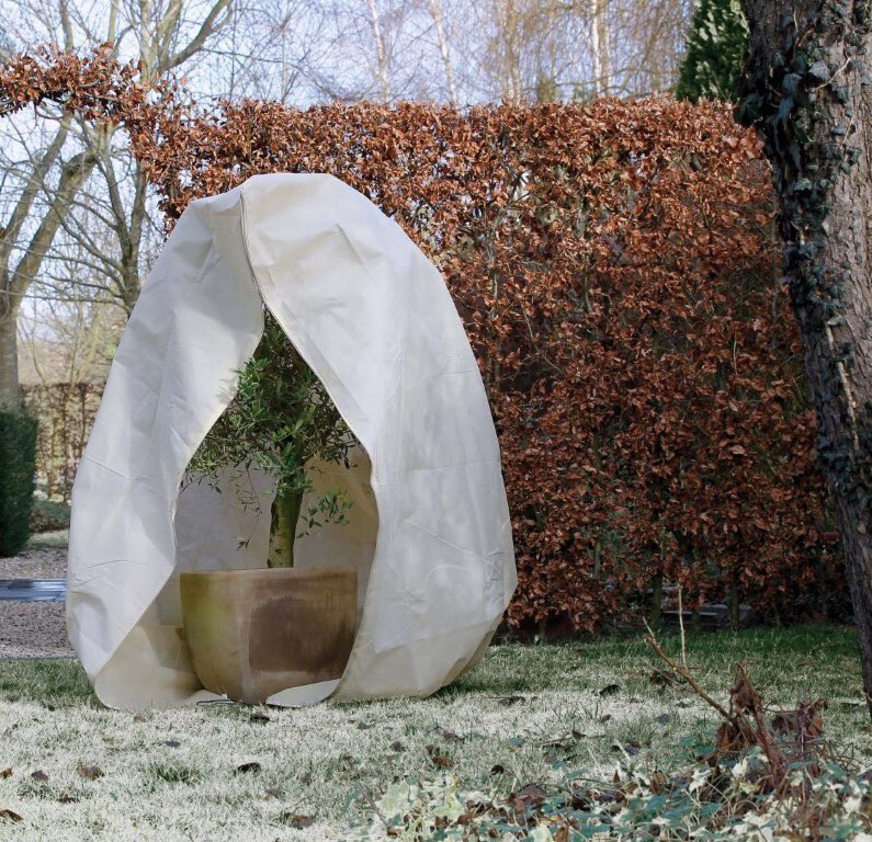 Koning #winter laat aankomende dagen nog flink van zich horen! Vergeet niet uw #kuipplanten in te pakken en uw #waterkraan aftesluiten en open te zetten!