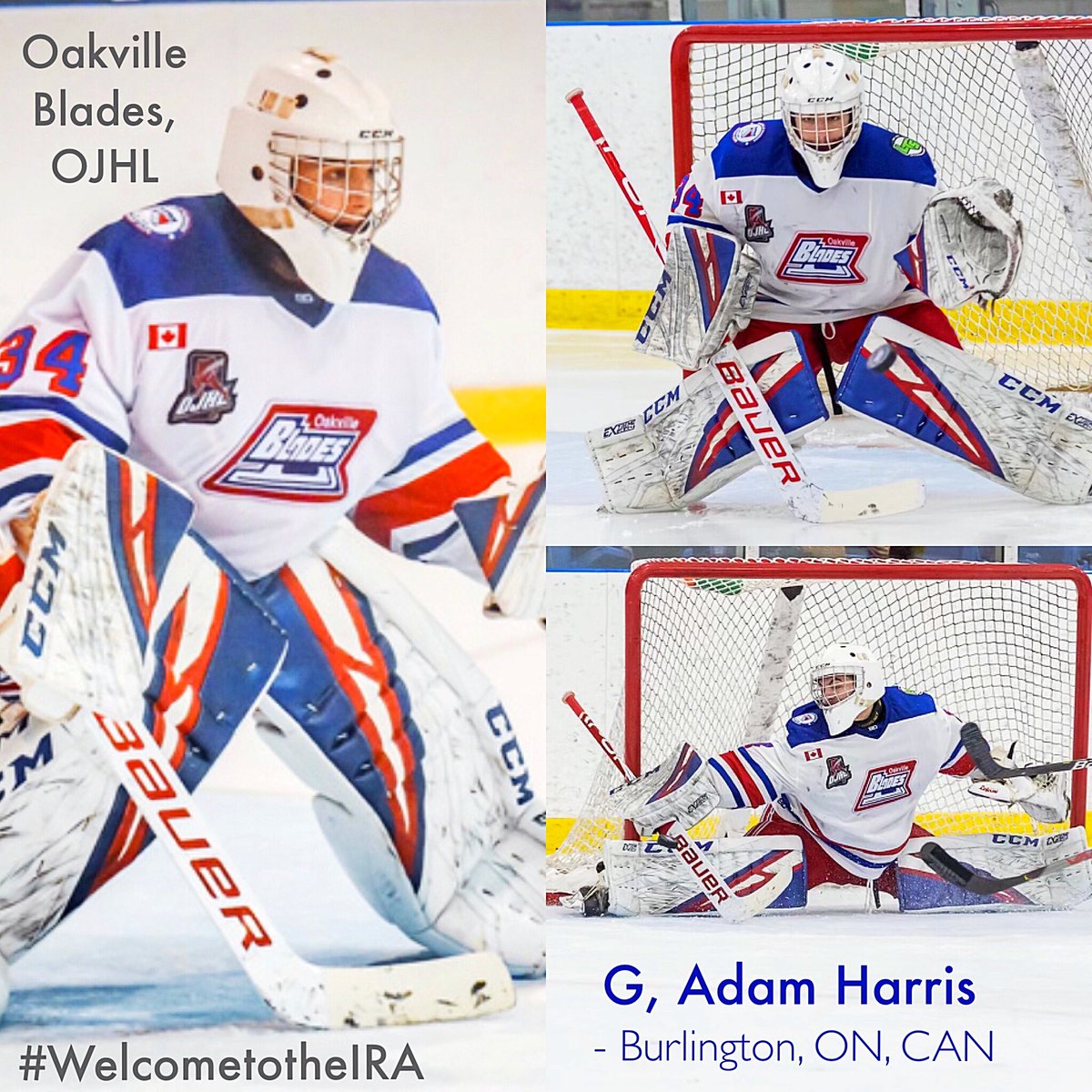 GeneseoHockey's tweet photo. #BeAKnight Excited by the commitment of quick/athletic G, Adam Harris (Burlington, ON) (3.5⭐️). He has a ⬆️ hockey/goalie IQ, work ethic, calming presence, &amp; as an ‘01, has a ⬆️ ceiling. In ‘19-20 w. @OakvilleBlades, Adam had a 2.08 GAA &amp; .929 save %. #WelcometotheIRA #OneKnight https://t.co/3VYDEKn9Xt