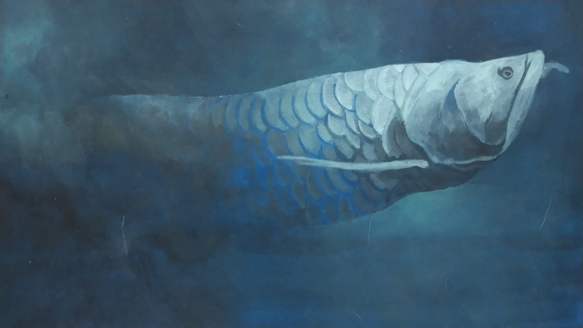 生き物イラスト