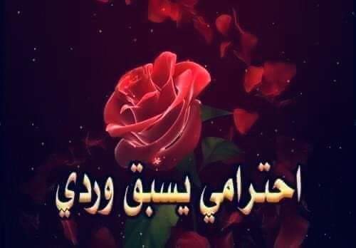 علي البجل tweet media