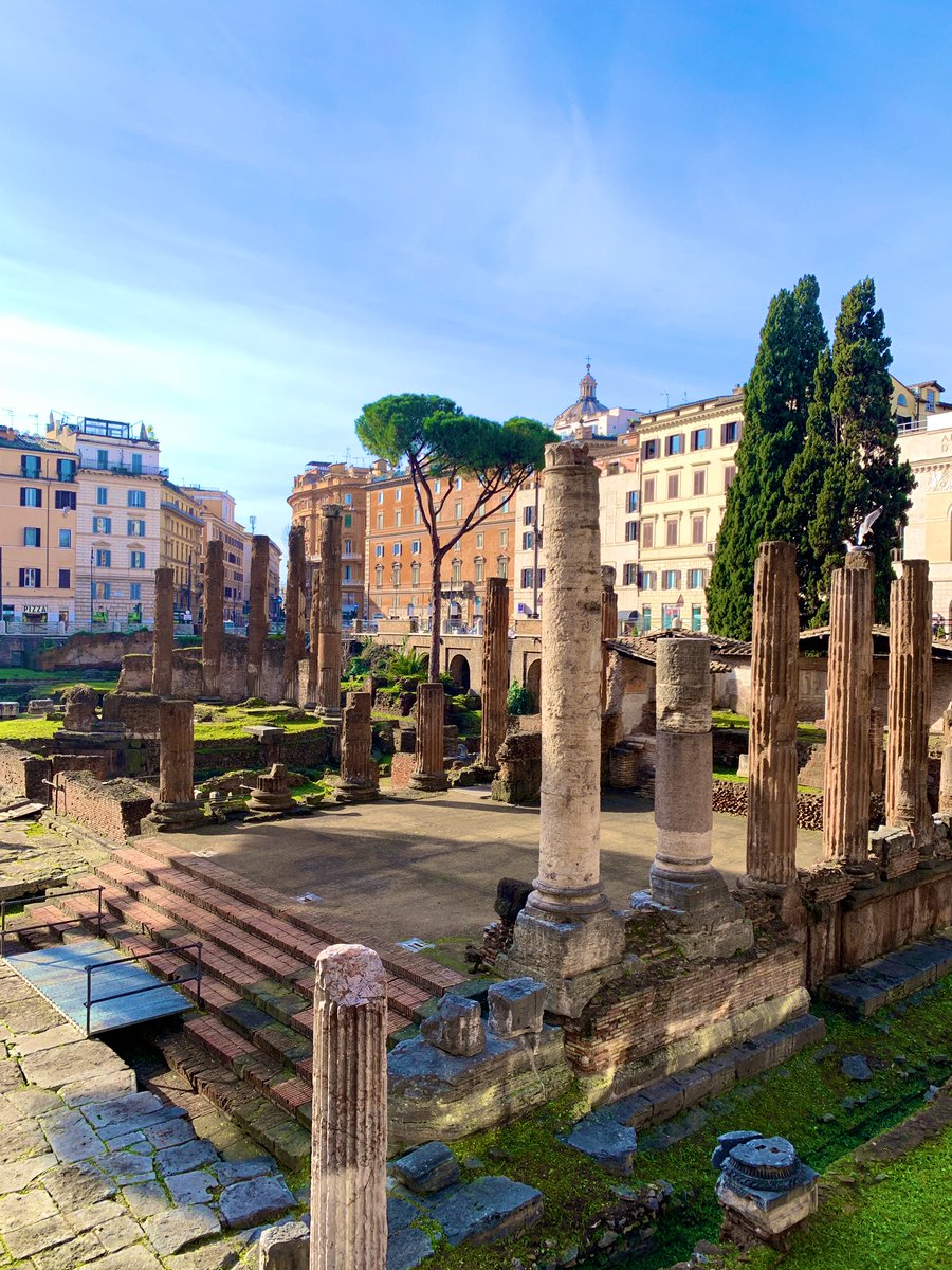 5/ It wouldn’t be  #Caturday without a visit to Largo Argentina—once the site of four excellent Roman temples, it’s now home to everyone’s favorite cat sanctuary and this ferocious guy certainly stole the spotlight!  &ndash; bei  Largo di Torre Argentina