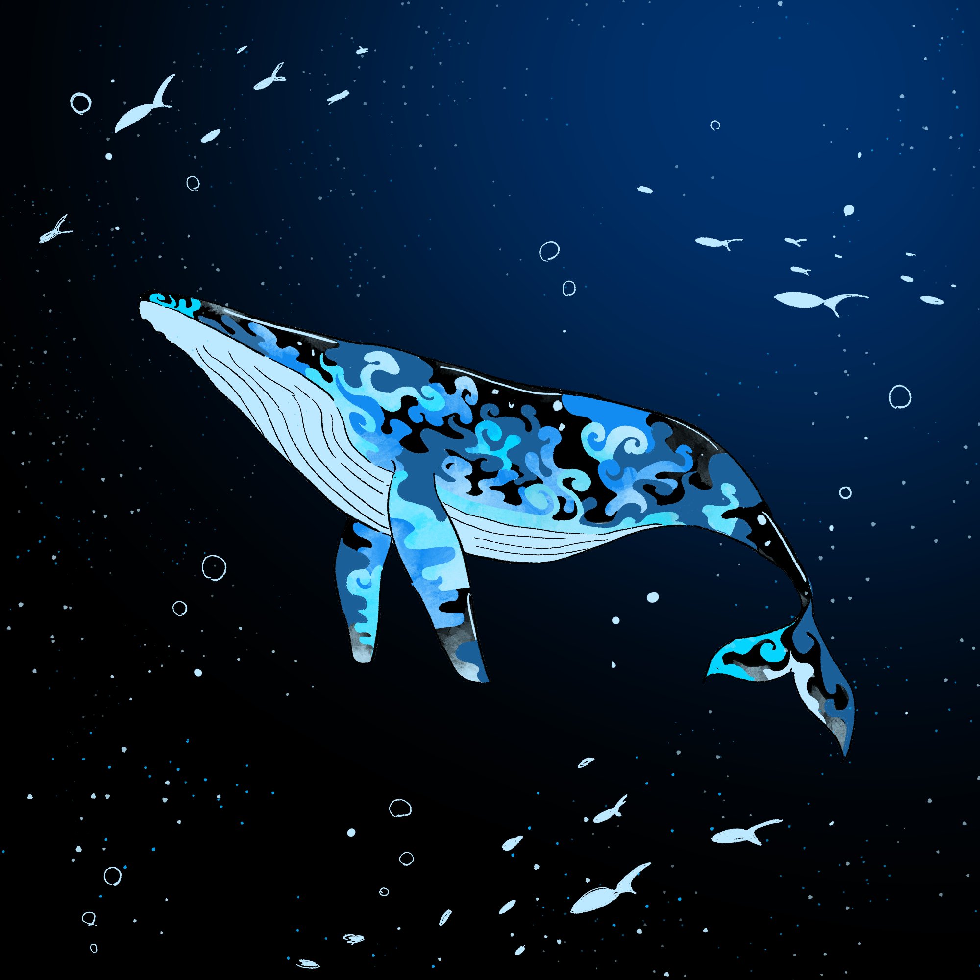 かずのこ 千の海を知る鯨 イラスト T Co Qrbvuskfqm Twitter