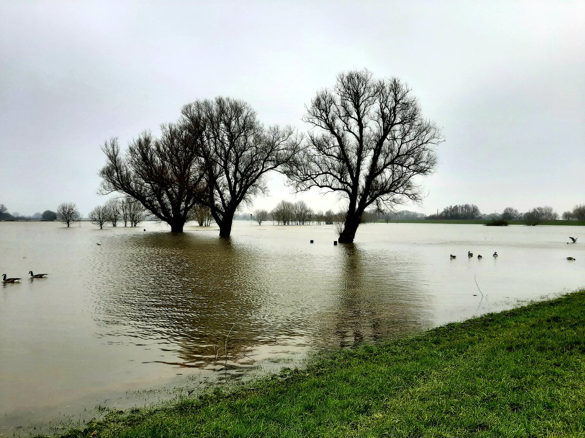 #walkinwinter IJssel #February