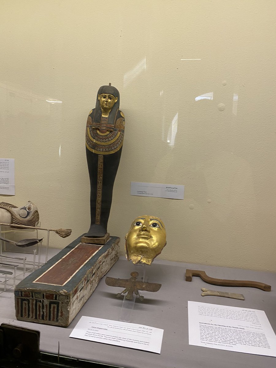 Coffins ⚰️,#Anubis mummy and mummification related objects
