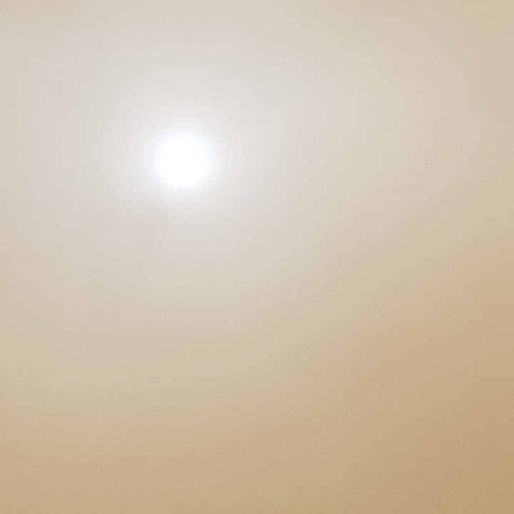 brightmariia's tweet photo. Today the sky is yellow ✨ https://t.co/wMuFQNQPVe